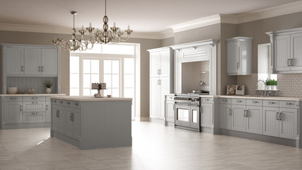 Classic kitchen, scandinavian minimal interior design with woode