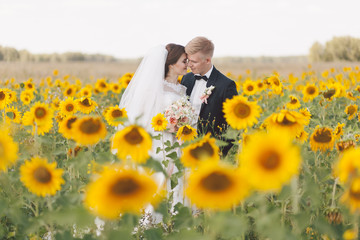 Beautiful couple in wedding day in the sunflowers field.