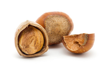 Hazelnuts on white background