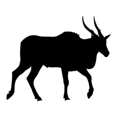 Common Eland, walking - Silhouette - Vector Illustration