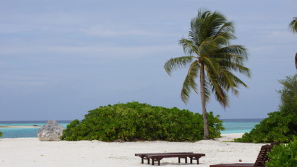 Maldivian beach
