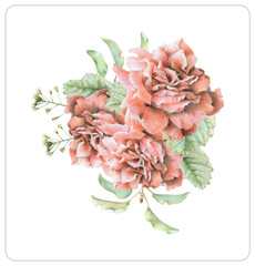 Composition of different spring flowers and plants drawn by hand with colored pencils. Pencil drawing. Floral bouquet, ikebana