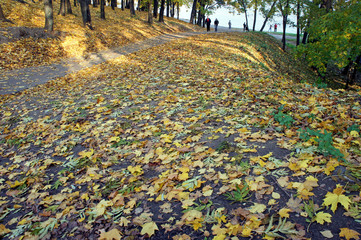 Autumn landscape
