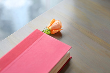Rose flower and red hardcover near windows in living room.