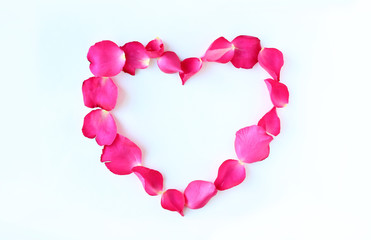 Petals of rose flower in heart shape on white background.