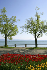Seepromenade von Friedrichshafen am Bodensee, Baden-Wuerttemberg, Deutschland, Bayern