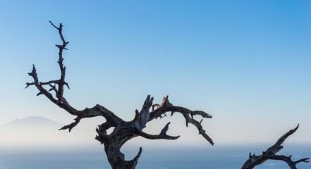 View from Gibraltar to Africa