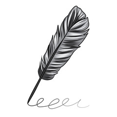 vector illustration of a grey feather isolated on white