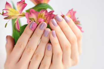 Hands of a woman with dark red manicure on nails and flowers alstroemeria on a white background
