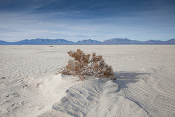 Fototapeta na wymiar White Sands National Monument, USA