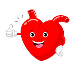 Heart character thump up. Health care concept, illustration isolated on white background.