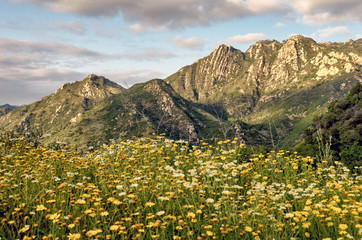 Fototapeta premium Southern California landscape in spring; focus on mountains
