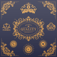 Calligraphic design elements collection