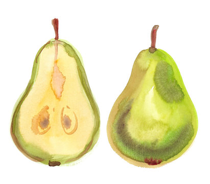 Fresh green pear cut in half painted in watercolor on clean white background