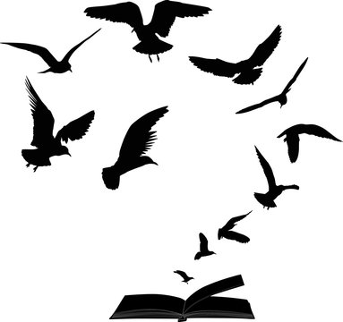 seagulls flying above open black book on white