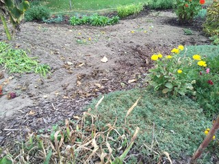 Herbst im Garten und auf Feld