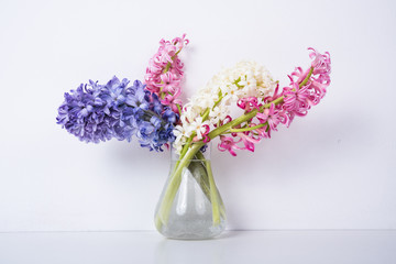 Purple and pink hyacinth flowers 