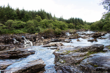 Lonely Trees in thunderstorm at Loch Leven in Scotland