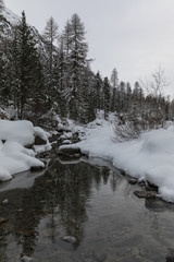 Freiheit in der Winterlandschaft