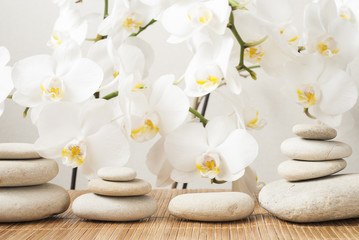 Fototapeta na wymiar stones on background orchid