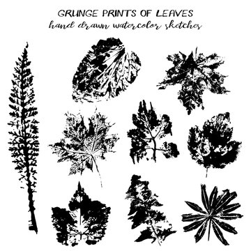 Set of black hand drawn prints of leaves in grunge style isolated on white. Vector illustration