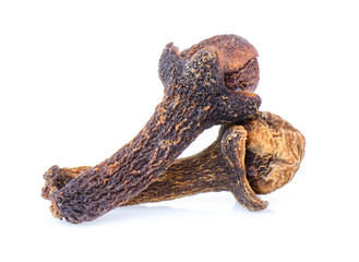 cloves on white background
