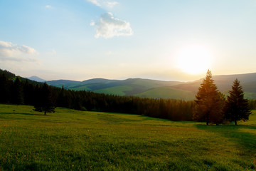 Beautiful landscape in the sunset. Meadow and trees.