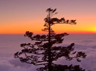 Hehuan Mountain