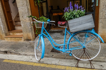 Fototapeta na wymiar Blaues Fahrrad mit Lavendel