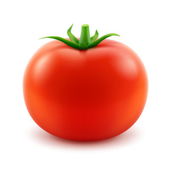 Vector Big Ripe Red Fresh Whole Tomato Close up Isolated on White Background