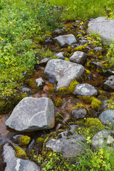 A small stream in northern Siberia. Stones and moss. Krasnoyarsk territory.