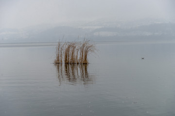 Foggy winter scenery at the lake of Kastoria Greece, during a he - 136320423