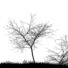 Realistic tree silhouette with grass (Vector illustration).