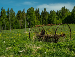 horse’s rake at meadow sunny day close-up