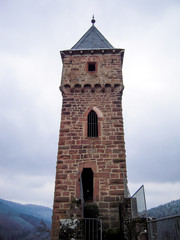 Fototapeta premium ヒルシュホルン城の塔（ドイツ）