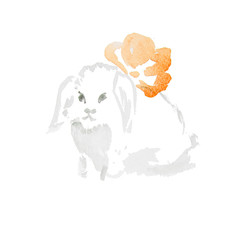 watercolor white rabbit