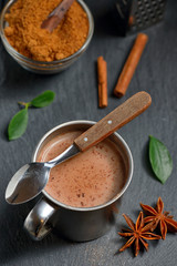 Cup of hot chocolate, cinnamon sticks