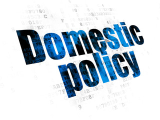 Politics concept: Domestic Policy on Digital background