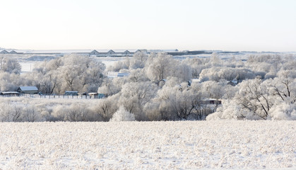 landscape of winter village
