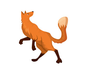 Obraz premium Funny cartoon red fox over white background. Character. Vector i