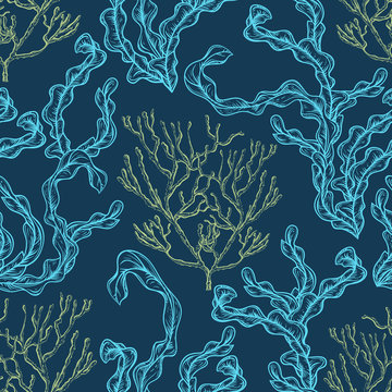 Collection of marine plants, corals and seaweed. Vintage seamless pattern with hand drawn marine flora. Vector illustration in line art style.