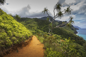 Fototapeta premium Views on the Kalalau trail along the Na Pali coast