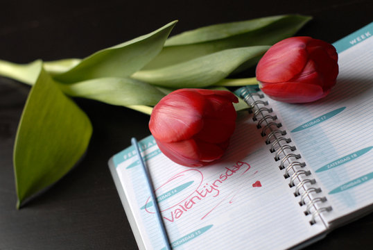 2 rode tulpen op een agenda die 14 februari aangeeft