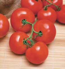 Red fresh tomatoes