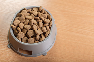 pets food on wooden floor