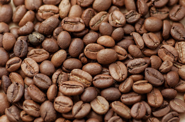 coffee beans