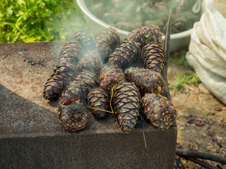 metal stove with cedar cones burn out