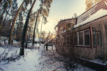 Fototapeta premium winter sunny weather