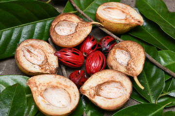 Nutmeg many isolated. Sectional view of ripe colorful red nutmeg fruit, seeds Kerala India. spices known as pala in Indonesia and red mace from tree Myristica Banda Islands Moluccas Spice Islands