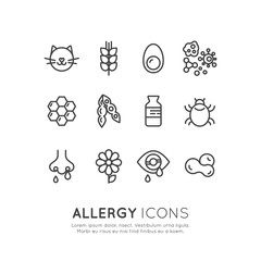 Vector Icon Style Illustration Logo Set Collection of Allergy, Food and Domestic Pet Intolerance, Skin Reaction, Eye and Nose Disease, Web Icons Isolated Collection